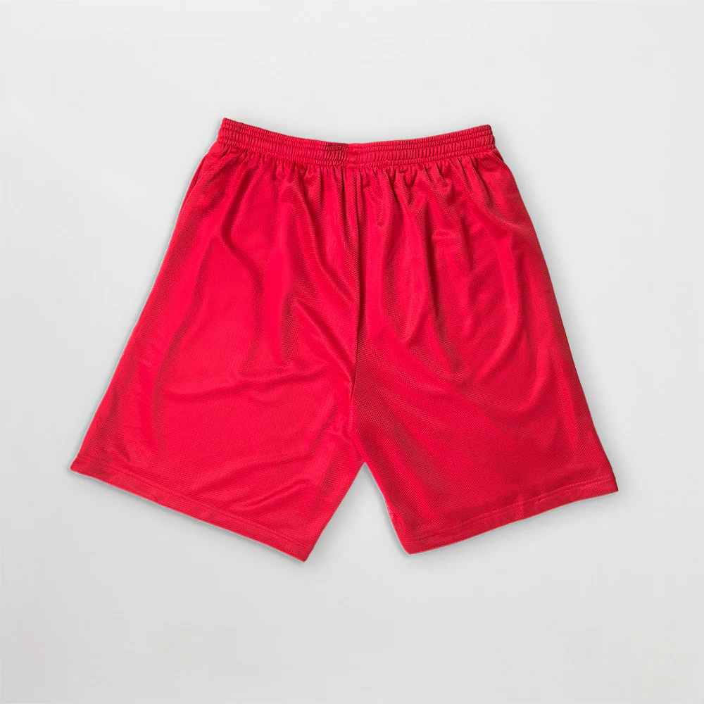 HIT ME HARD Mesh Shorts - Image 3