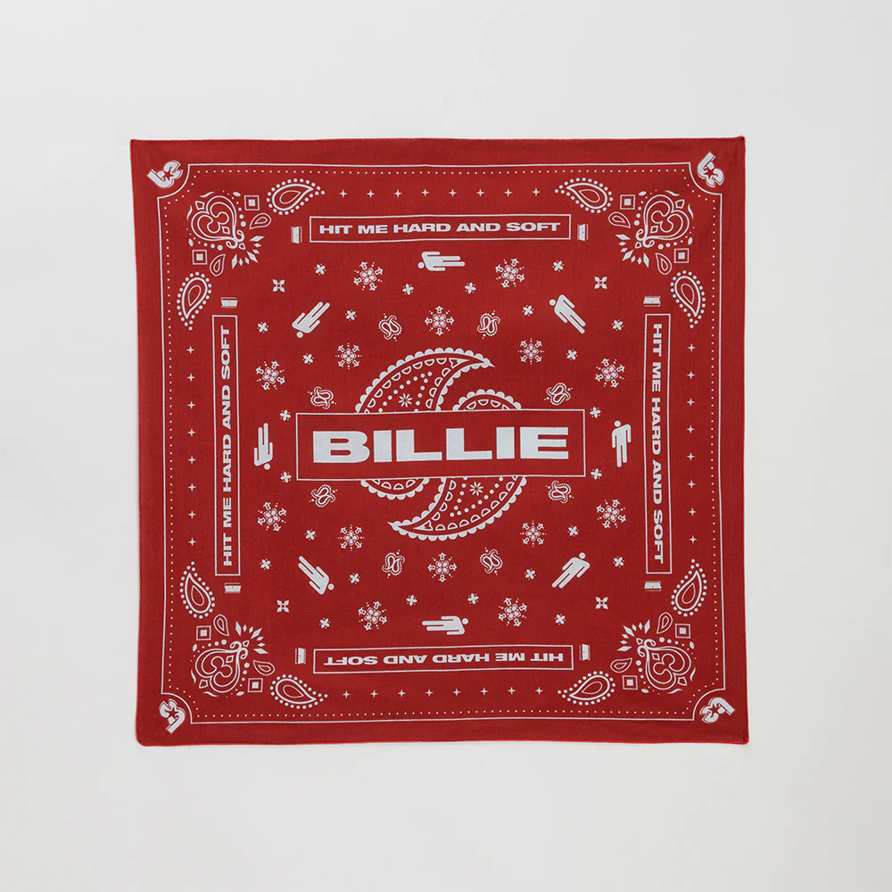 Paisley Bandana 4 Pack - Image 4