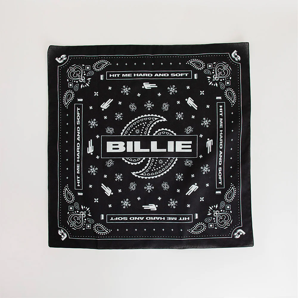 Paisley Bandana 4 Pack - Image 6